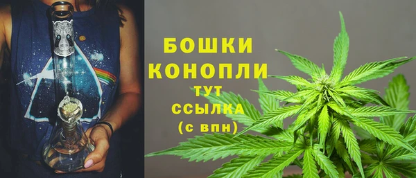 молекула духа Переславль-Залесский