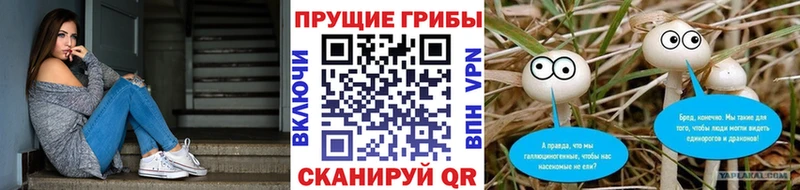 Галлюциногенные грибы мухоморы  Курганинск 
